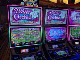 Fitur bonus dan putaran gratis dalam permainan Relax Gaming